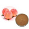 High Quality Peach Kernel Extract Peach Seed Extract 10:1 Powder