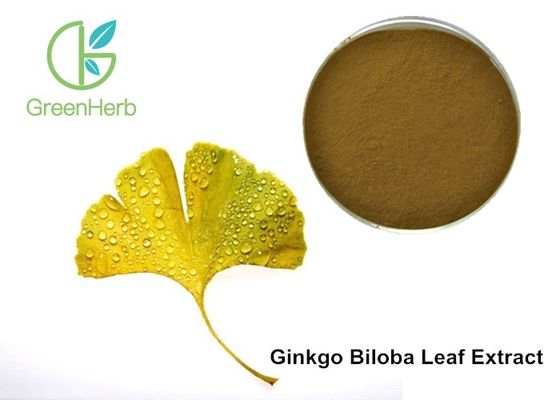 Nhà máy cung cấp Ginkgo Flavonoid, Terpene Lactones, Ginkgo Biloba Extract Powder