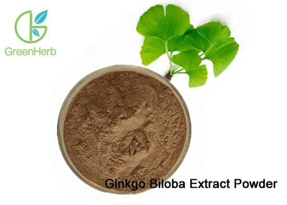100% tự nhiên Ginkgo Biloba Lá chiết xuất bột làm loãng máu